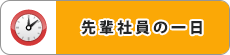 先輩社員の一日